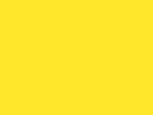 slnečné ráno Newcolours